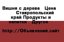 Вишня с дерева › Цена ­ 50 - Ставропольский край Продукты и напитки » Другое   
